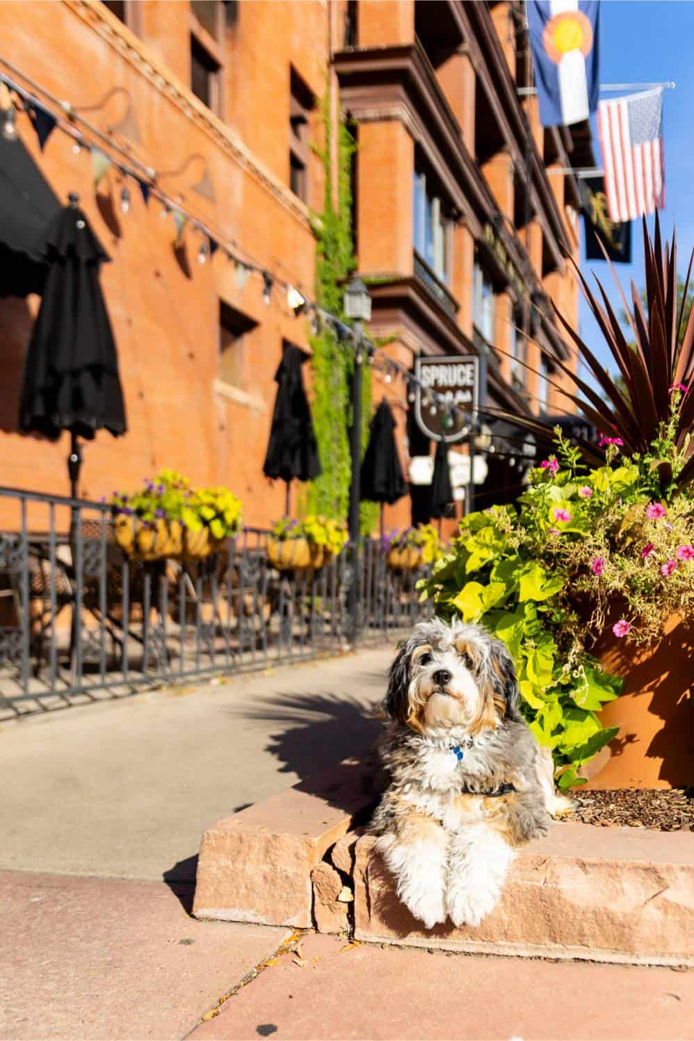 the Hotel Boulderado Lives on, a Landmark, a Snapshot of Colorado History and a Hospitable, Charming Experience