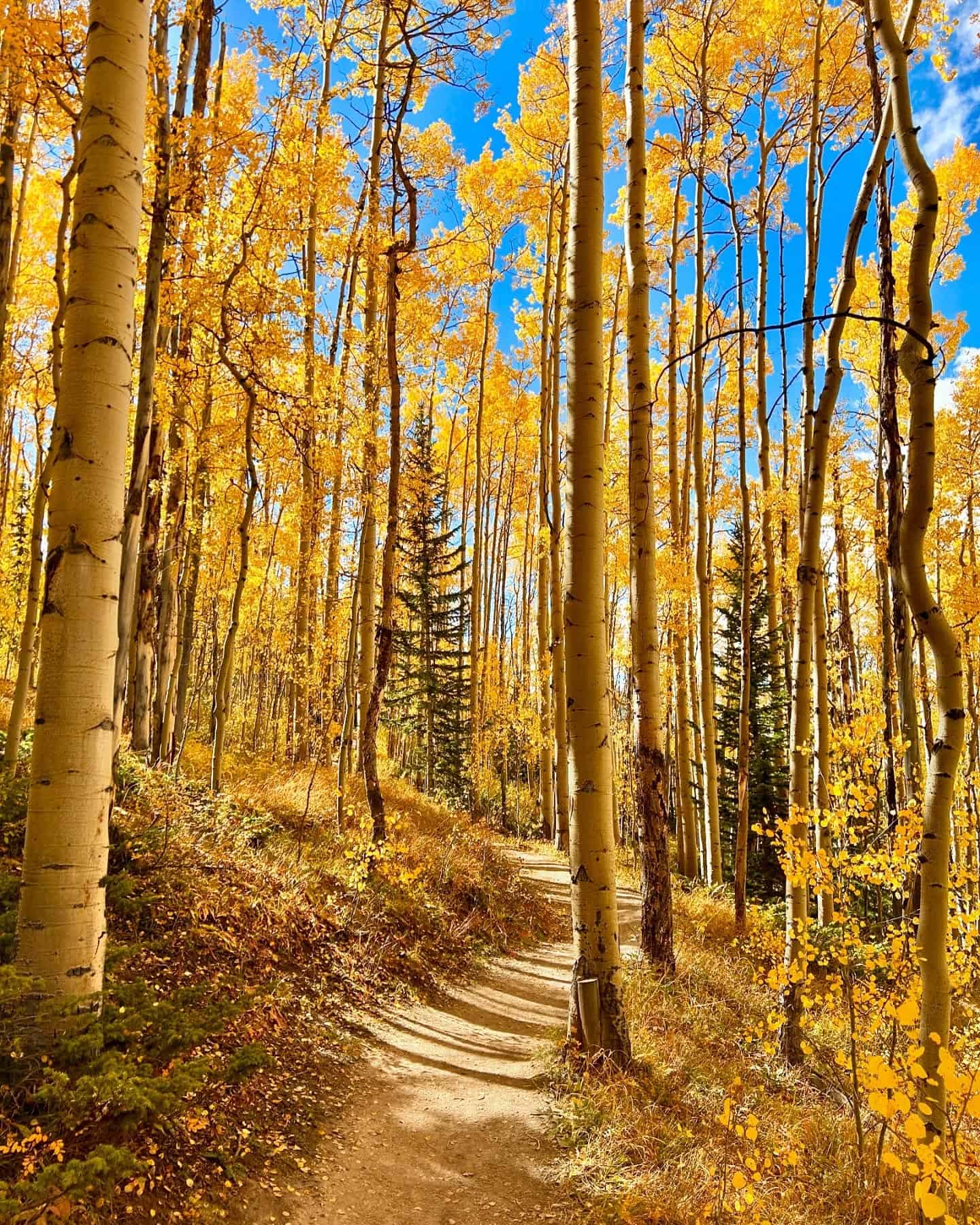 fall