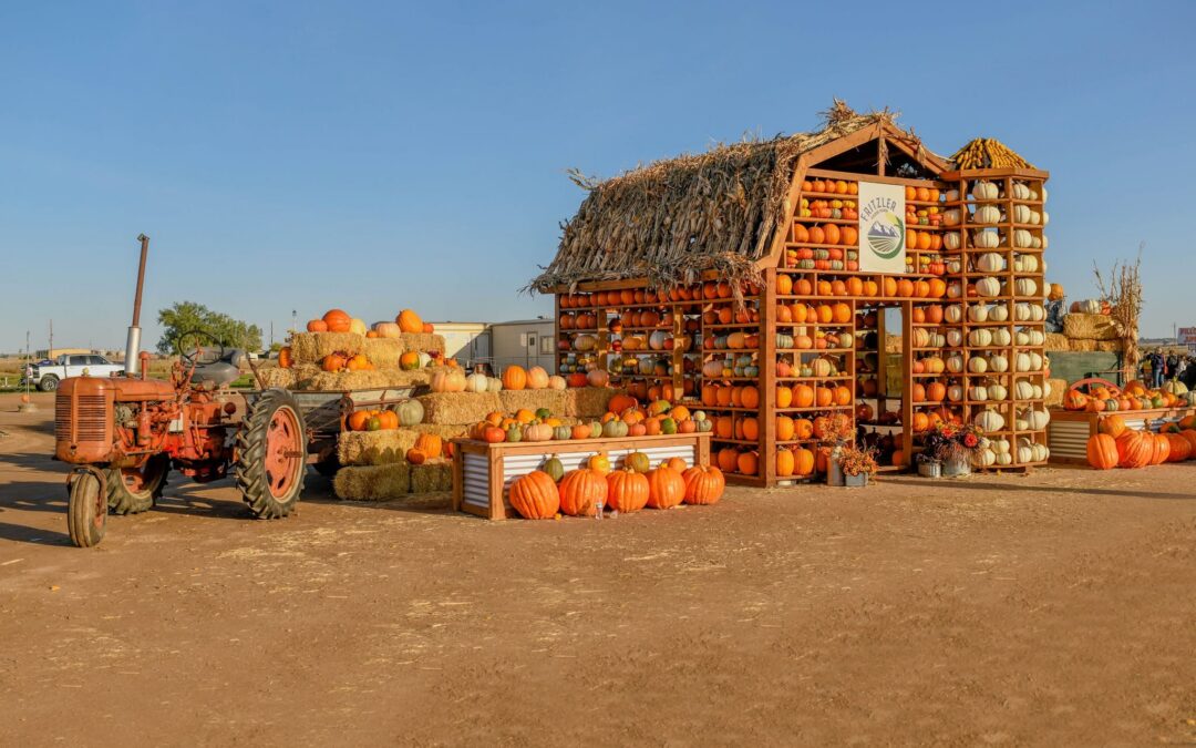 Colorado Fall: Your Ultimate Guide to Sights, Bites & Hikes
