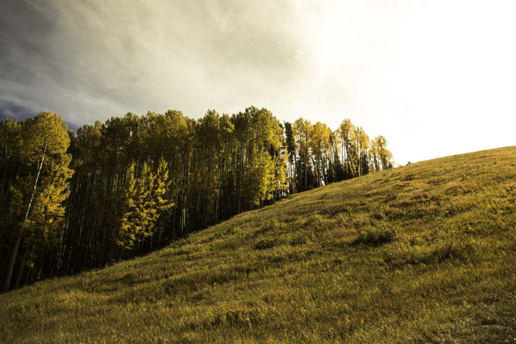 150 Places To Celebrate Colorado’s 150th Birthday