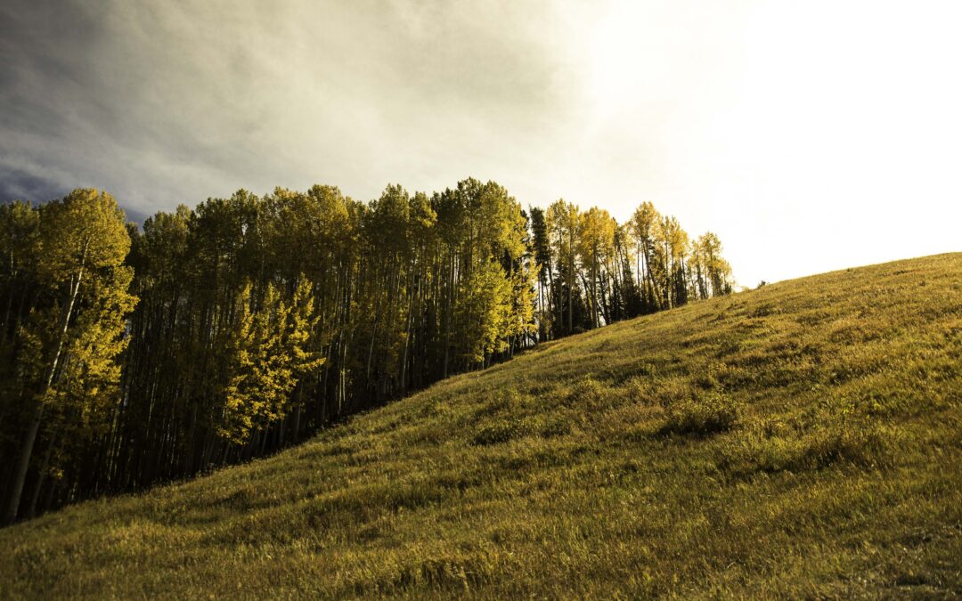 150 Places To Celebrate Colorado’s 150th Birthday