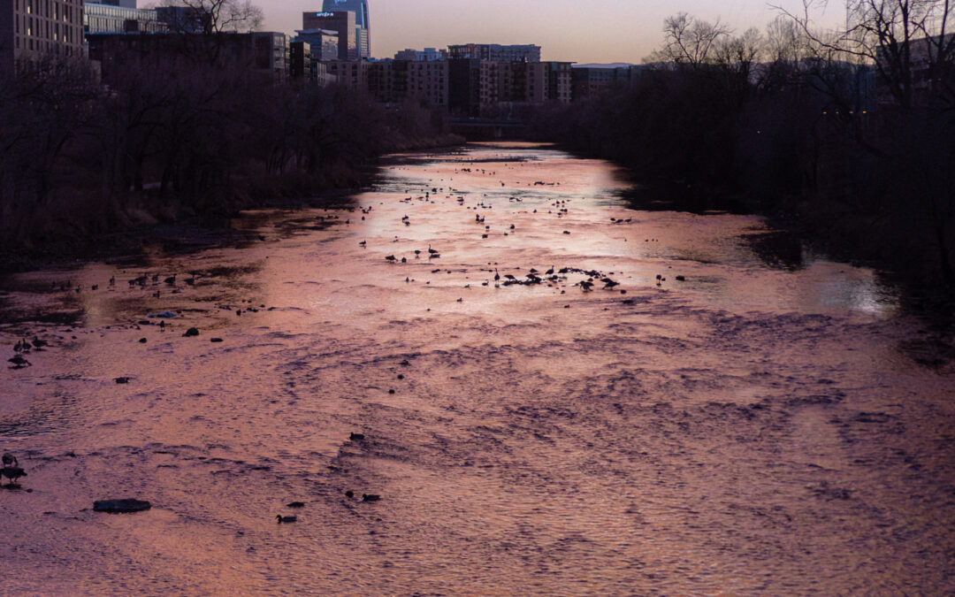 20+ Best Places to Cry in Denver