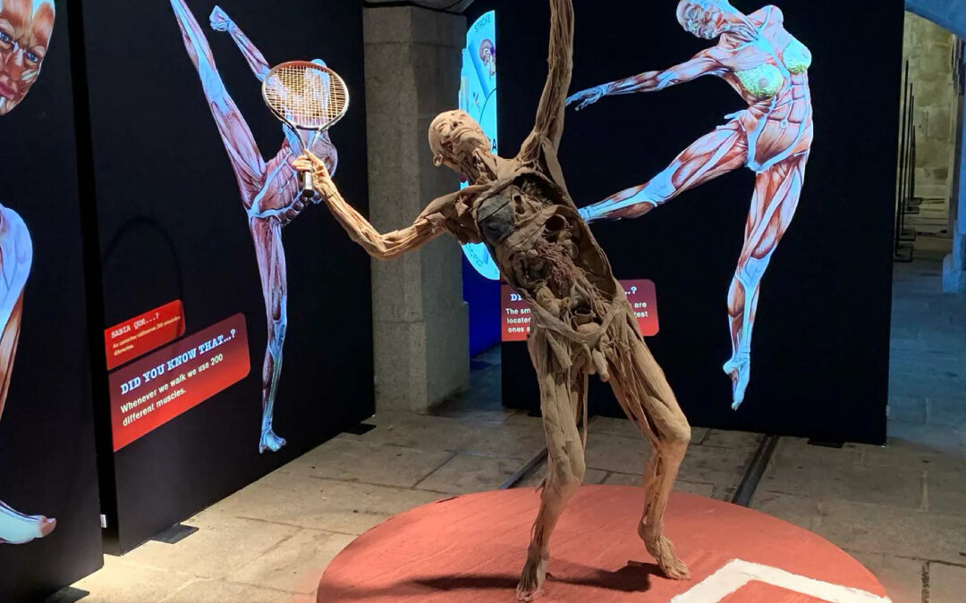 Five Lessons We Learned at Bodies – The Science Within