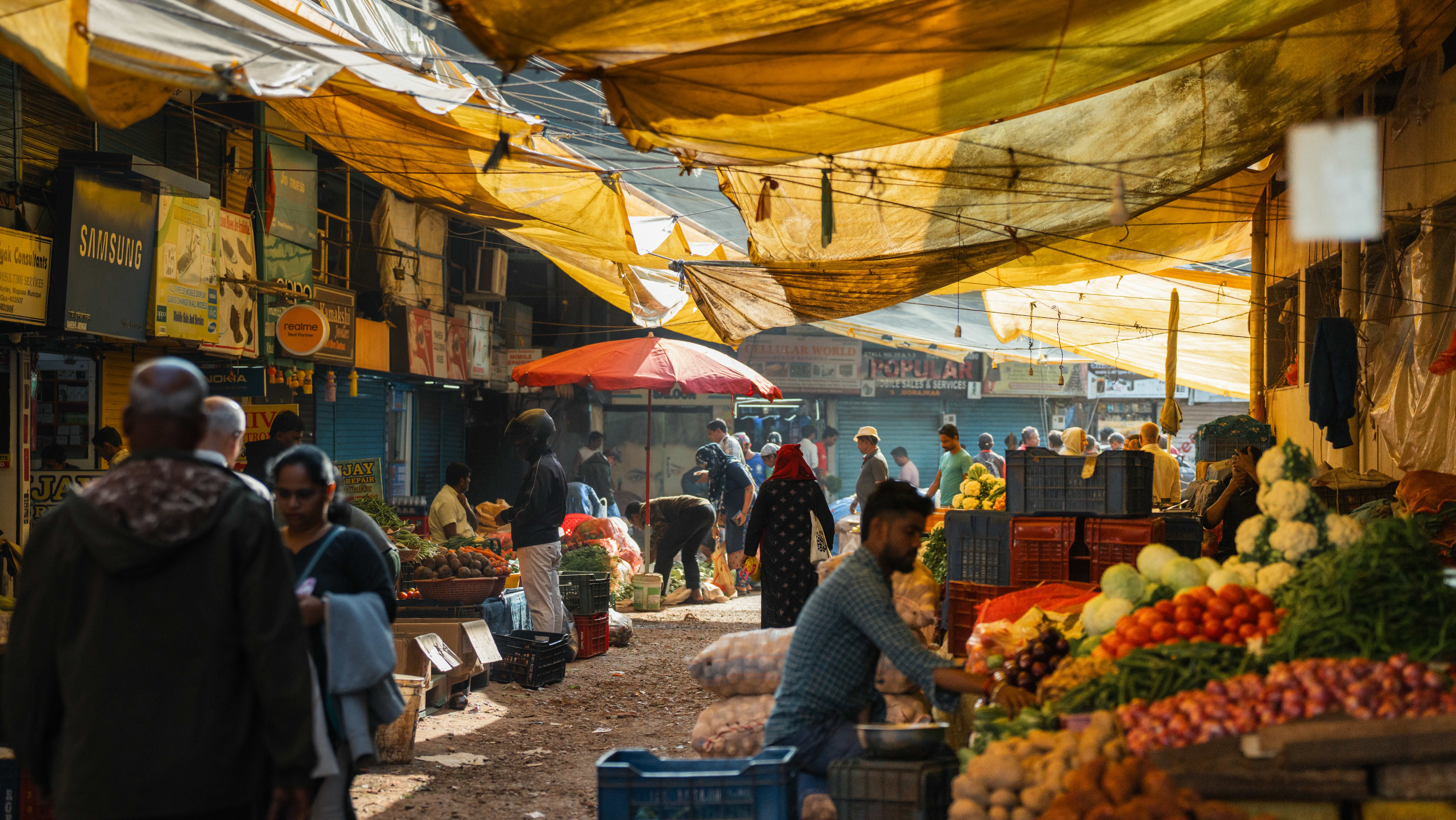 vegetable alley